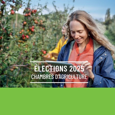 Elections 2025 Chambres d'agriculture